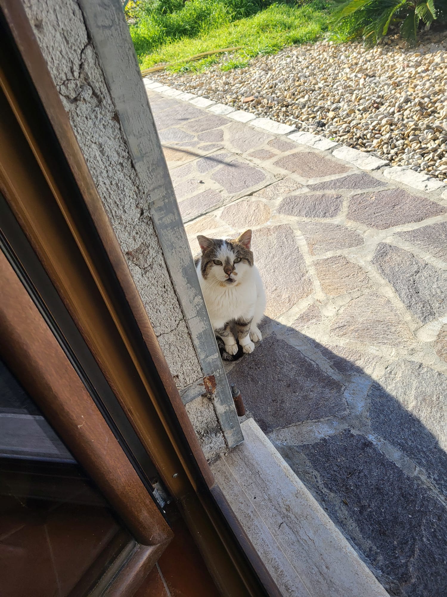 Totò, ospite storico del rifugio da 10 anni
